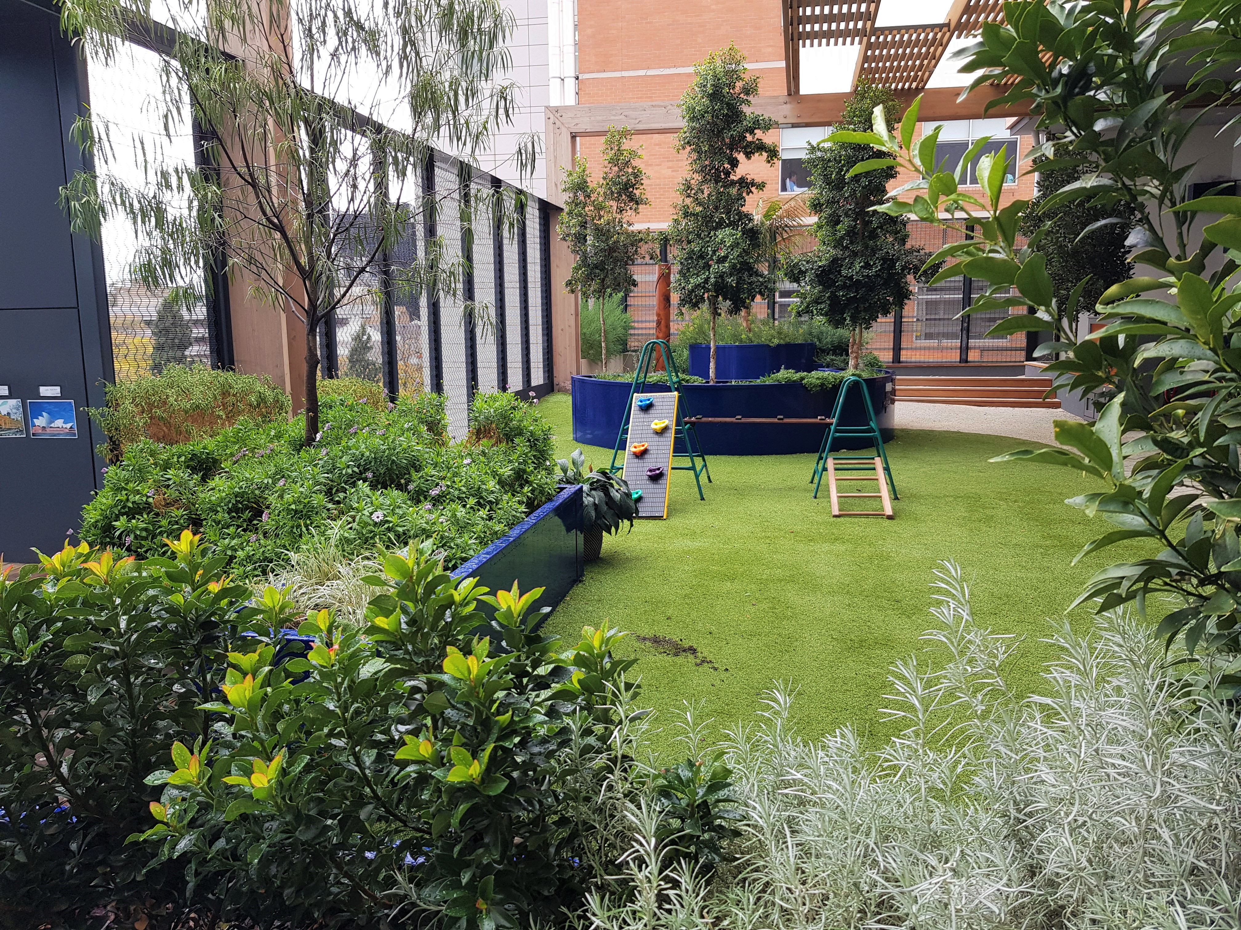 Rooftop Playspace Sensory Planting – foliage texture, visual interest and fragrance